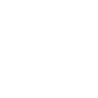 Vector_Prancheta-1-1